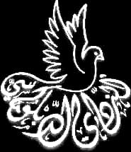 Diplomatic Club